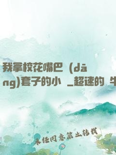 我拿?；ㄗ彀彤?dāng)套子的小說