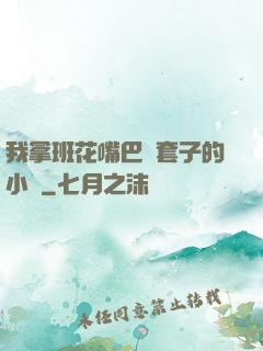 我拿班花嘴巴當套子的小說
