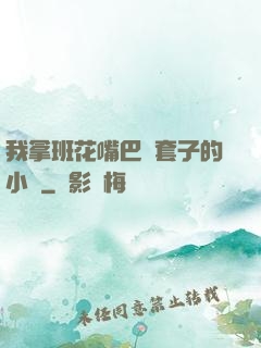 我拿班花嘴巴當套子的小說