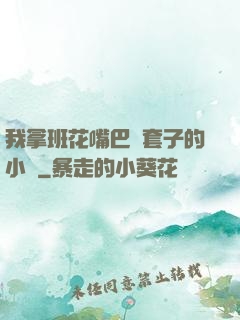 我拿班花嘴巴當套子的小說