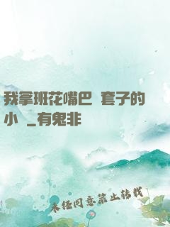 我拿班花嘴巴當套子的小說