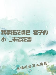 我拿班花嘴巴當套子的小說