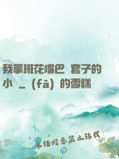 我拿班花嘴巴當套子的小說
