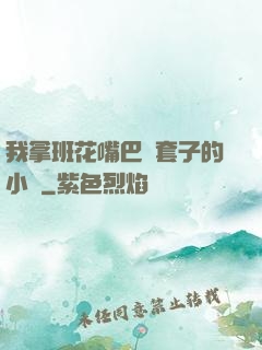 我拿班花嘴巴當套子的小說