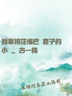 我拿班花嘴巴當套子的小說
