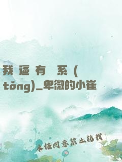 我掛逼擁有兩個系統(tǒng)