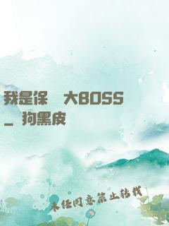 我是保護傘大BOSS