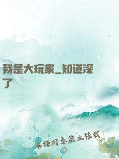 我是大玩家