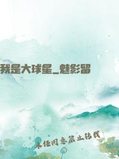 我是大球星