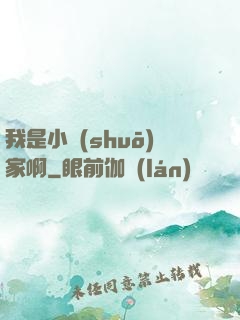 我是小說(shuō)家啊