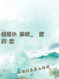 我是小說家啊