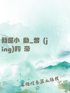 我是小輔助