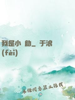我是小輔助