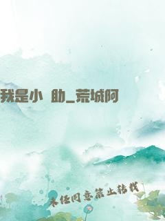我是小輔助