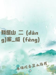 我是山賊二當(dāng)家