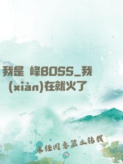 我是巔峰BOSS