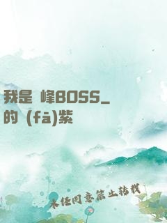 我是巔峰BOSS