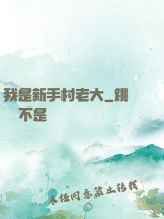我是新手村老大