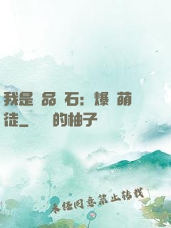 我是極品靈石：爆寵萌徒
