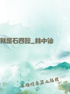 我是石四懿