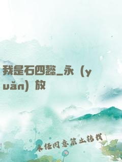 我是石四懿