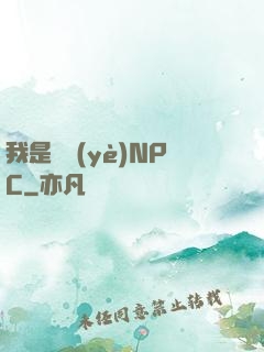 我是職業(yè)NPC