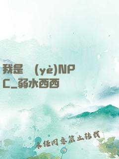 我是職業(yè)NPC