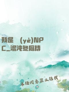 我是職業(yè)NPC