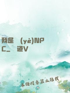 我是職業(yè)NPC