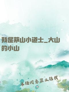 我是茅山小道士