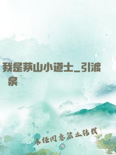我是茅山小道士