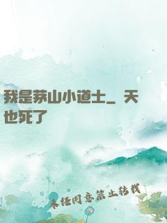 我是茅山小道士