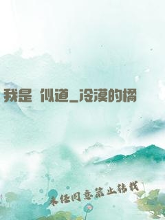 我是賈似道