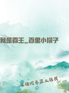 我是霸王