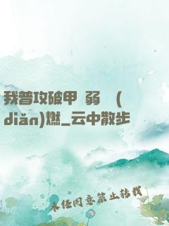 我普攻破甲虛弱帶點(diǎn)燃