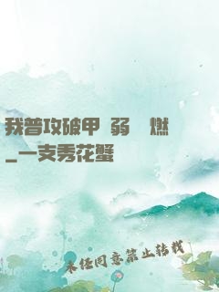 我普攻破甲虛弱帶點燃