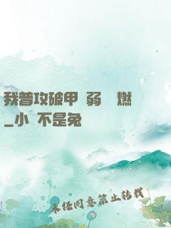 我普攻破甲虛弱帶點燃