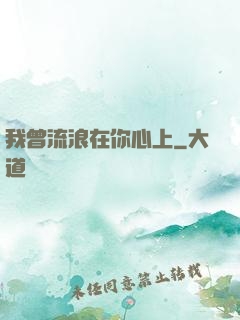 我曾流浪在你心上