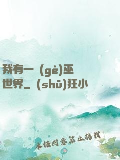 我有一個(gè)巫師世界