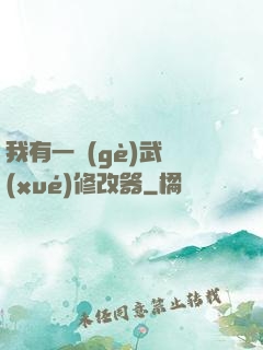 我有一個(gè)武學(xué)修改器
