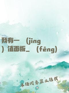 我有一個經(jīng)驗值面板