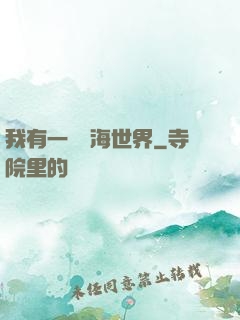 我有一個識海世界