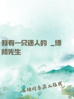 我有一只迷人的貓