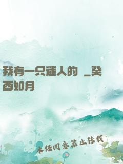 我有一只迷人的貓