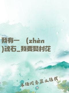 我有一塊鎮(zhèn)魂石
