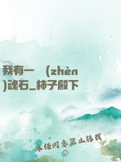 我有一塊鎮(zhèn)魂石