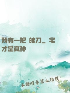我有一把斬魄刀