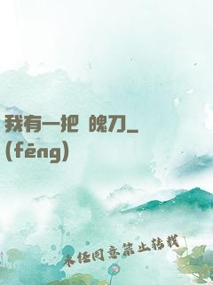 我有一把斬魄刀