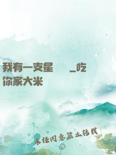 我有一支星際艦隊