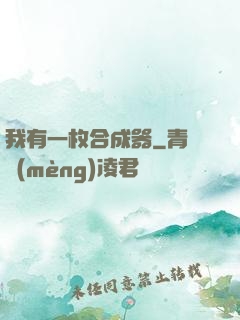我有一枚合成器